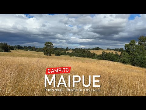 Parcela en venta en Purranque, Región de Los Lagos
