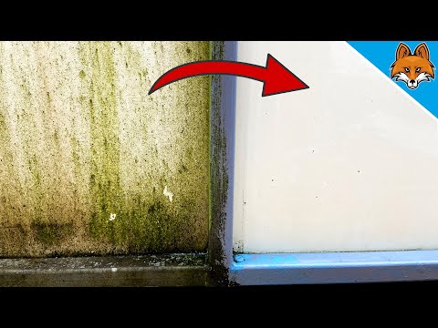 Grünbelag von ALLEN Oberflächen entfernen 💥 (OHNE schrubben) 🤯