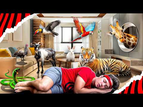 I MADE A HIDDEN ZOO IN MY HOUSE! *Zoo