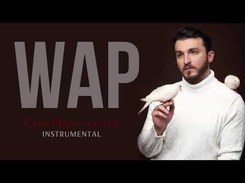 Zane - WAP (Instrumental Cover)