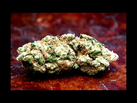 KMC & BAHTKA - Krivata pateka