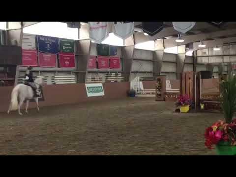MV Sensational , 2’0 Hunter Round