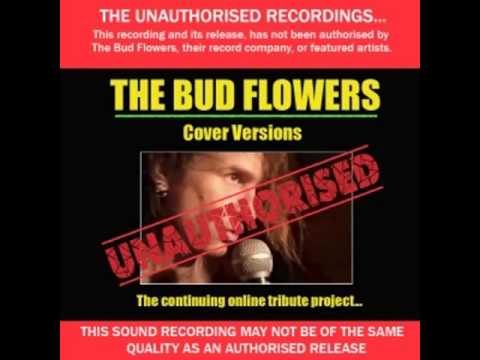 The Bud Flowers - Green Fuz