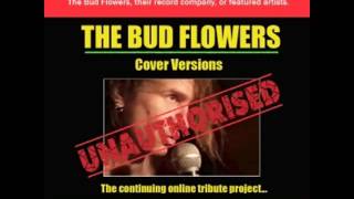 The Bud Flowers - Green Fuz