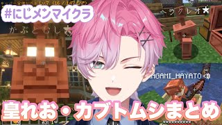 【 にじメンマイクラ 】皇れお・カブトムシまとめ【 にじさんじ切り抜き/すぷれあ/皇れお 】