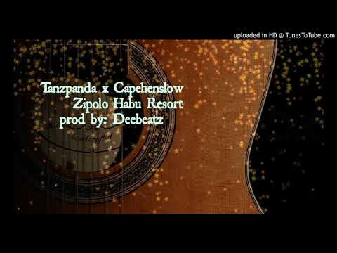 Tanzpanda x Cape Henslow - Zipolo habu Resort(Prod by Deebeatz)