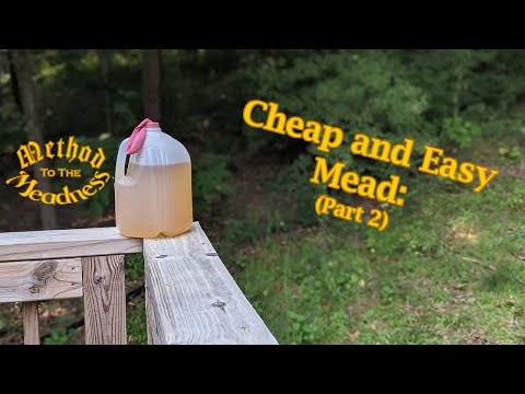 Cheap Beginner Mead Making: Looking Back at my First Mead (Part 2)