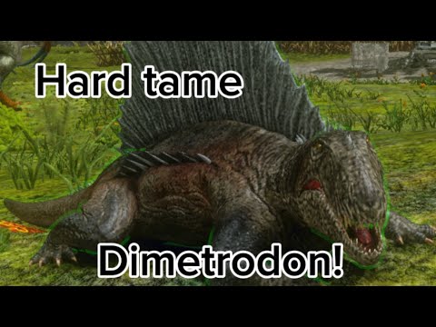 How to tame a Dimetrodon!( Ark Survival Evolved)