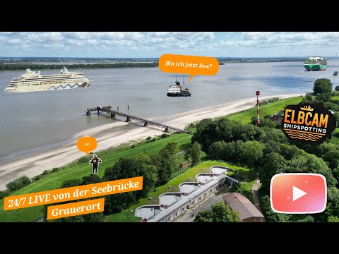 🔴 Grauerort LIVE Shipspotting - Giganten der Meere – Schiffsbegrüßung bei KM 660