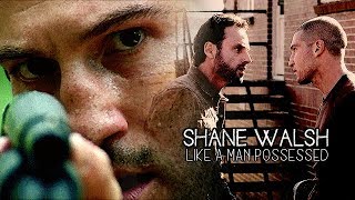 shane walsh | like a man possessed | the walking dead