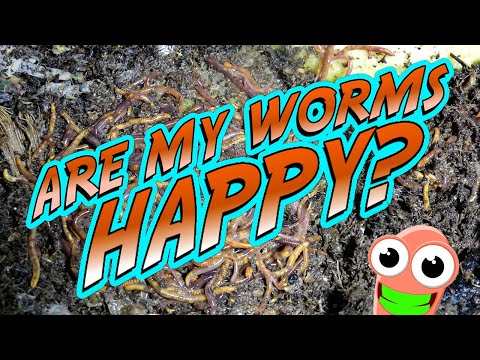 Are My COMPOSTING WORMS HAPPY?