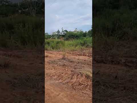 Lixão de Porto Walter a beira do igarapé Maloca