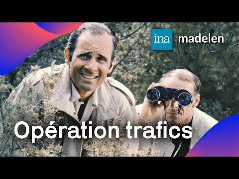 🤣 Une drôle de série oubliée avec Guy Marchand et France Dougnac 👮 ! À retrouver sur madelen-INA