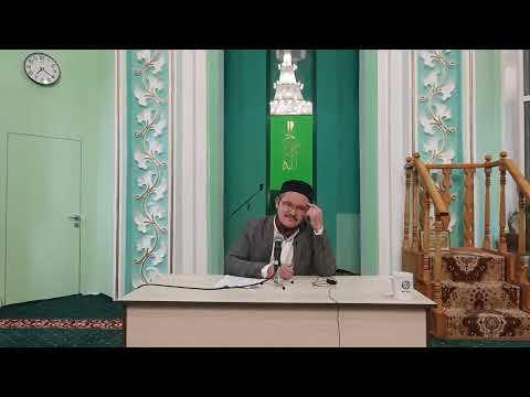 Как найти утешение в книге Аллаха 