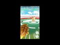 Pokemon GO Sandslash Vs Persian