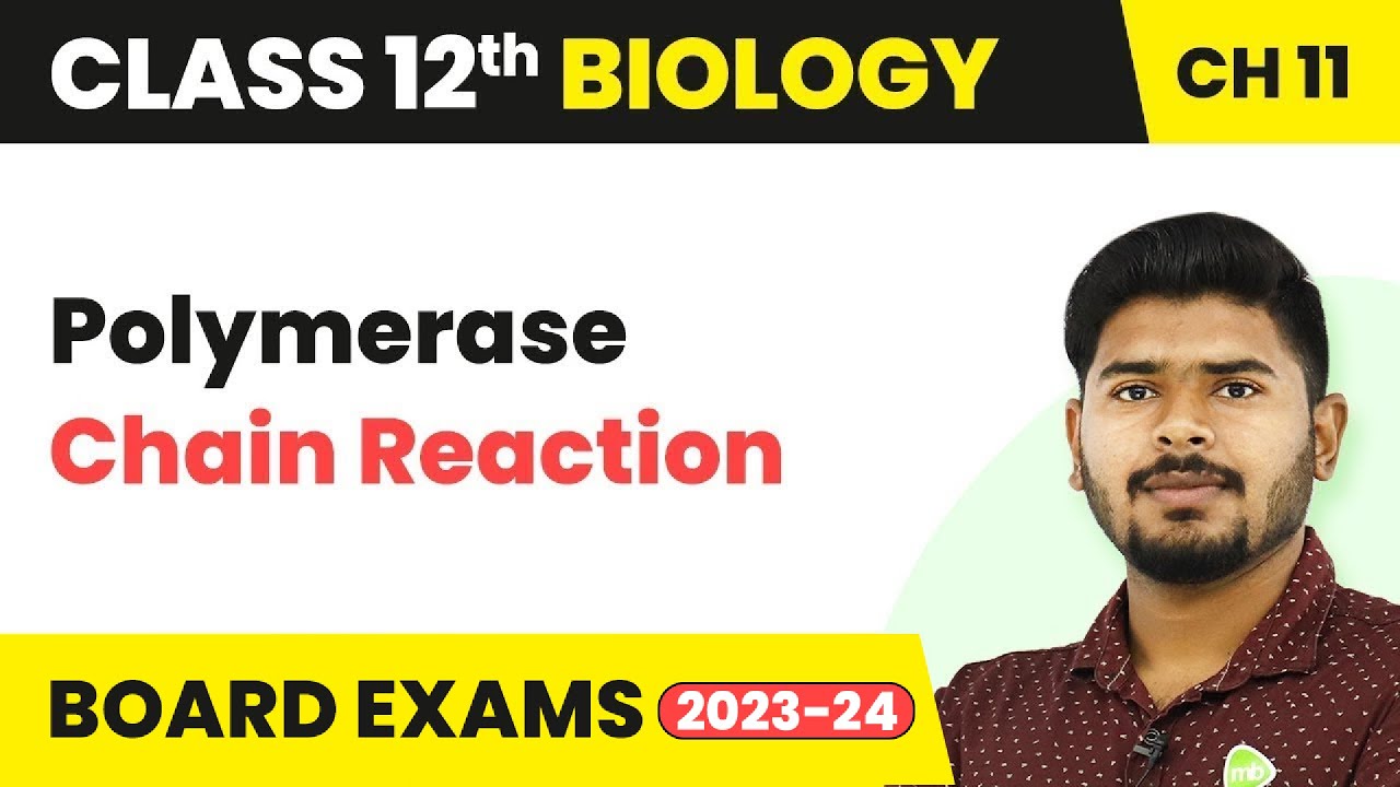 Polymerase Chain Reaction - Biotechnology Principles and Processes | Class 12 Biology (2022-23)