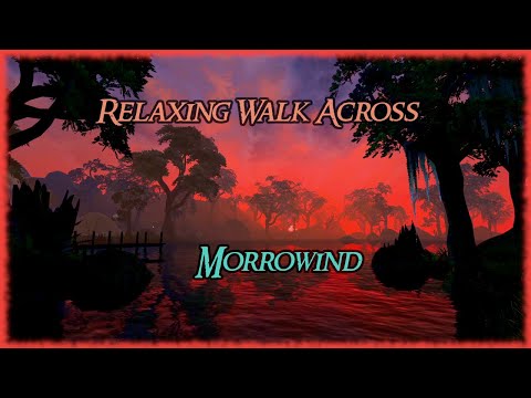Relaxing Walk Across Morrowind - Ambient Music and Sounds in 4k