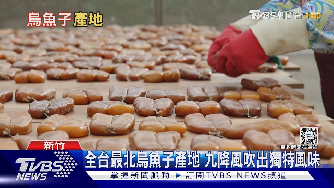 過年吃烏魚子竟然是這原因! 九降風吹過口感獨特