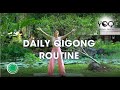 DAILY QIGONG ROUTINE