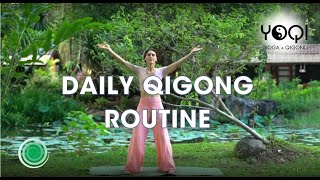 Qi Gong Daily Energy Flow Practice | 17 min