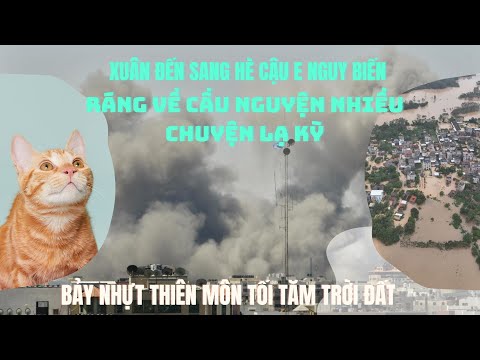 Cấm phổ biến thiên cơ Thế Chiến Ba #Gaza #israel #worldwar3 #tientri #tiêntri #world #youtube