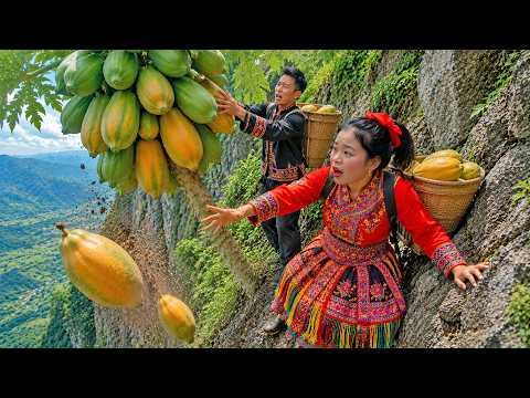 Picking Ripe Papayas on Dangerous Cliffs… Making Food to Sell at the Market | Trieu Mai Huong