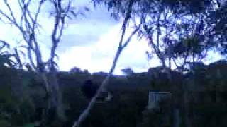 Tarpeian Rock Morning Glory CD - Blue Mountains - Australia - November 2009