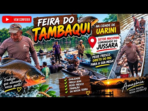 05 DE SETEMBRO EM UARINI FEIRA DO TAMBAQUI 