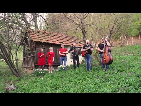 Vrli muzikanti - Cvetoče tulpe (Ansambel bratov Avsenik)