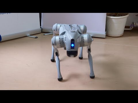 Info - Ministra prosvete u niškoj školi dočekao robot (TV KCN 12.11.2025)