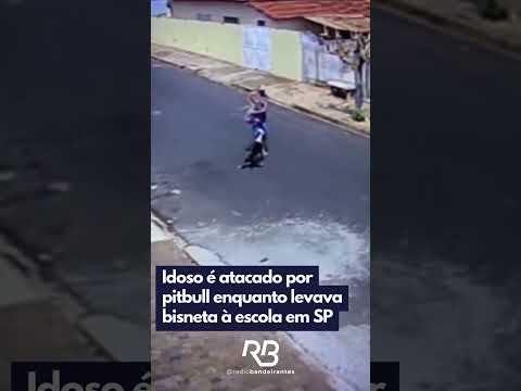 Idoso é atacado por pitbull em Vista Alegre do Alto (SP) e passa por cirurgia