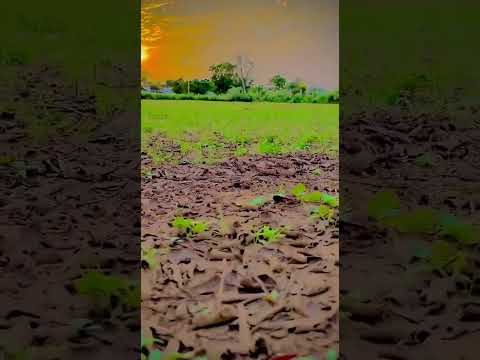 aini by sajna Judai ni changi