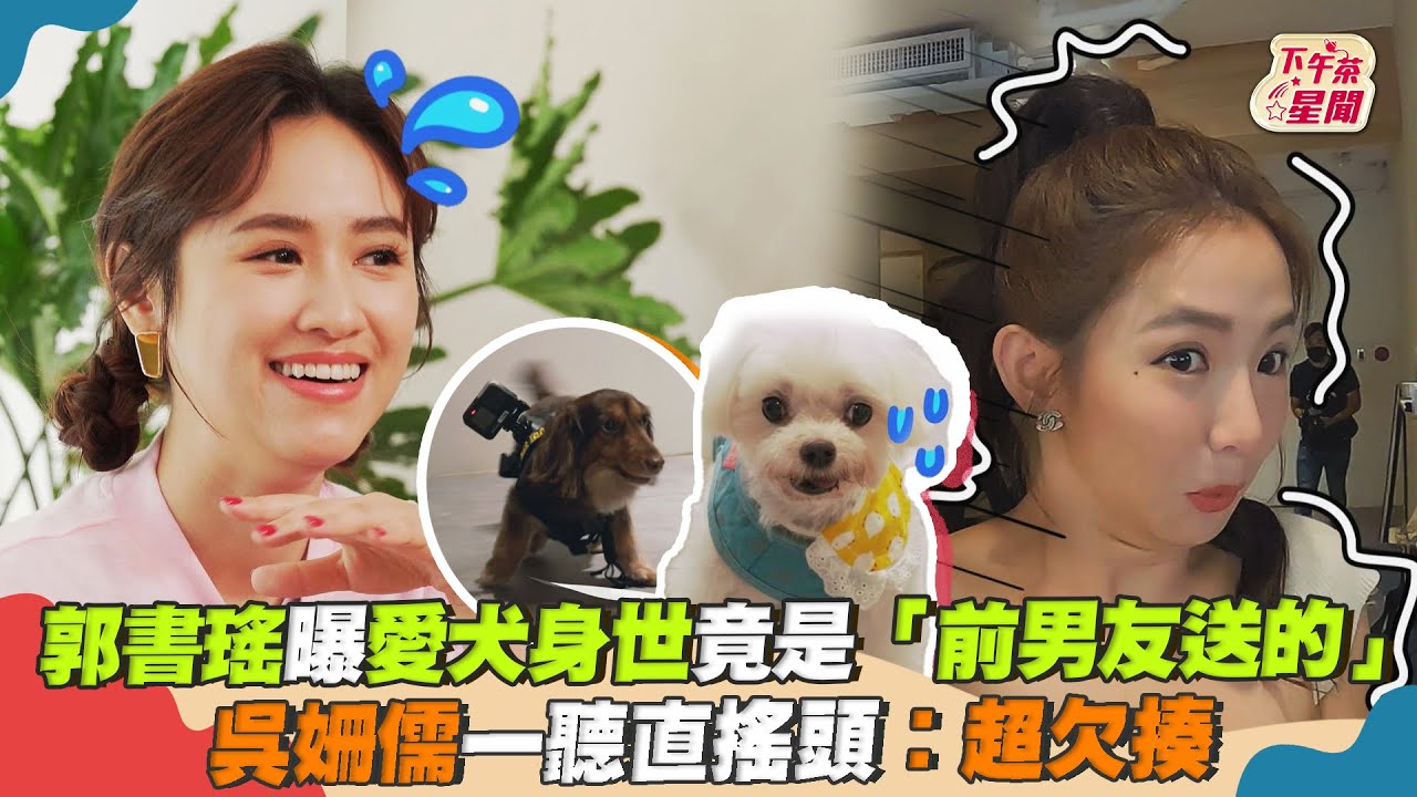 影音/郭書瑤曝愛犬身世竟是「前男友送的」 吳姍儒:超欠揍
