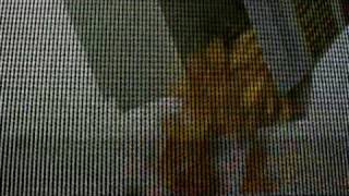 Marco V - More than a life away (Official Video)