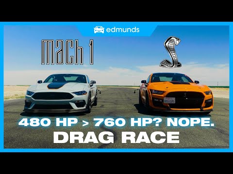 Drag Race! Shelby GT500 vs. Mustang Mach 1 | Which Mustang Is the Fastest Mustang?