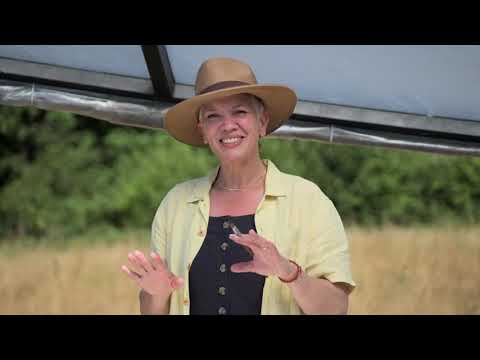 Landscape Artist of the Year (2026) - Season 11 Episode 7 - Ouse Valley Viaduct