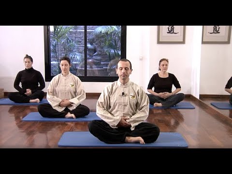 TAI CHI ONLINE | CLASS 4 | Movement at home