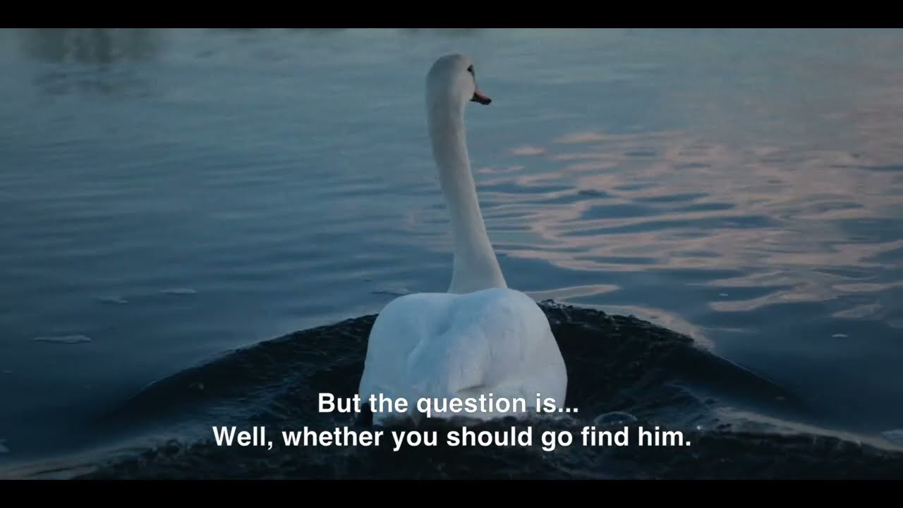 Placeholder from YouTube