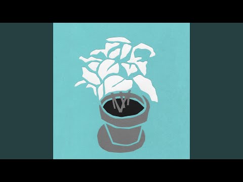 Maan - Koolstrae