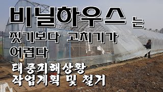 비닐하우스는 짓기보다 고치기가 어렵다-비닐하우스 보수(How to repair greenhouse)