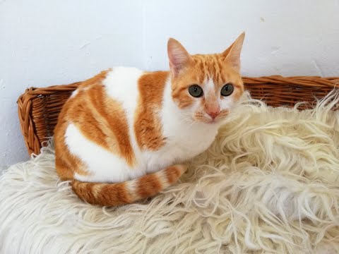 Jackie und Tiger - ein unschlagbares Team