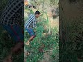 Swetha Nagu Snake