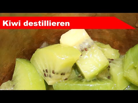 🌷 Kiwi destillieren 🌻 - der nächste Versuch mit Beeren - diSTILLed