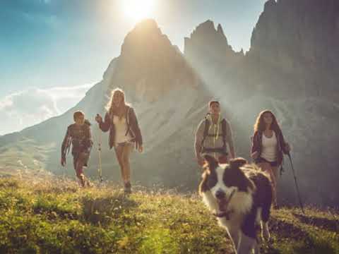 Fido Flask   Cartay Designs