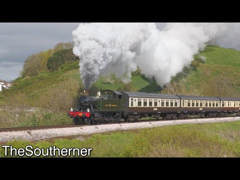 4555 on the English Riviera | Dartmouth Steam Railway 29/04/2023