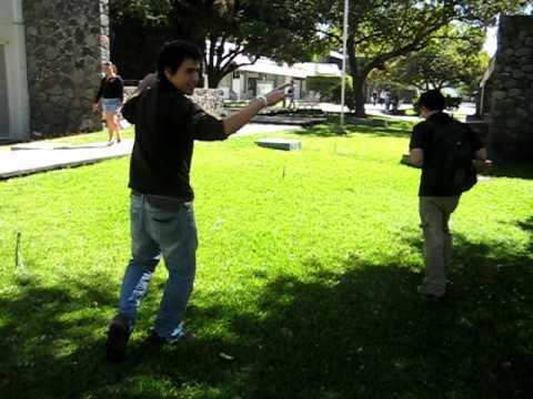 Salto de tigre dariésco