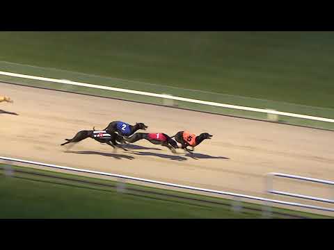 2018 STAR SPORTS DERBY - ROUND 2 HEAT 5 - T5 BUBBLY TURBO