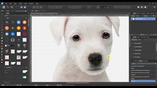 Jak usunąć tło z naszej grafiki PNG. Affinity Designer