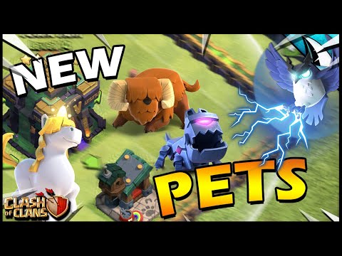 NEW Hero PETS at Town Hall 14!! Learn how to use the Pets in Clash of Clans!