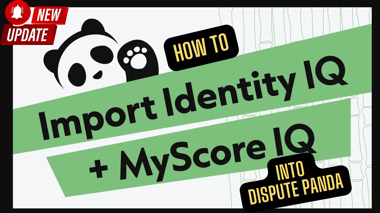 Dispute Panda tutorial